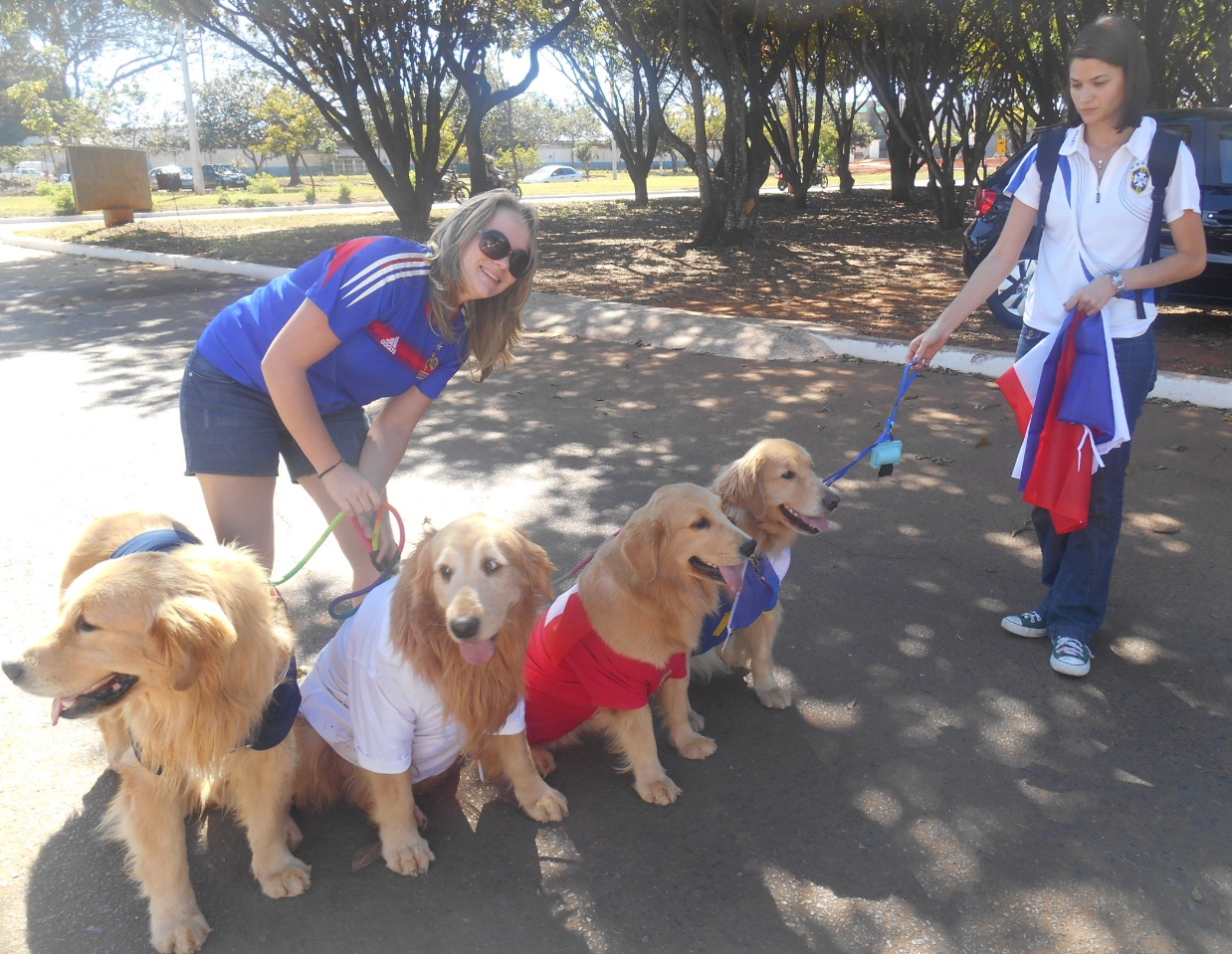 Amis les Chien Tricolores à Brasilia