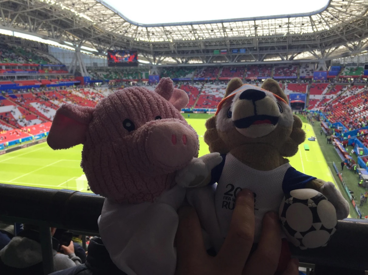 Mascotte Cochon Renard